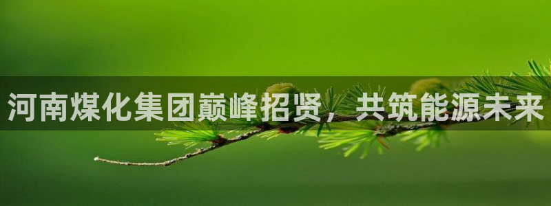 球盟会APP下载：河南煤化集团巅峰招贤，共筑能源未来