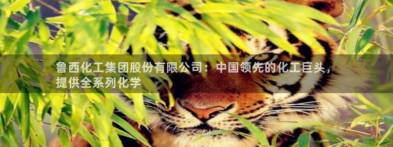 球盟会qm8597：鲁西化工集团股份有限公司：中国领先的化工
