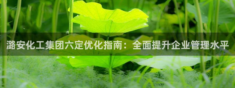 球盟会有没有黑单的球员：潞安化工集团六定优化指南：全面提升企