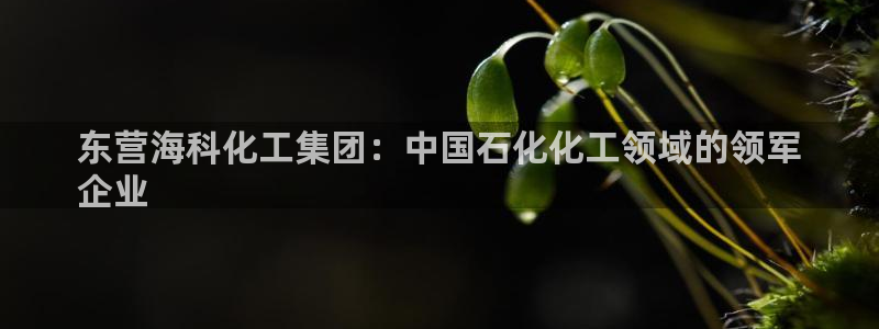 球盟会app最新地址在哪里：东营海科化工集团：中国石化化工领