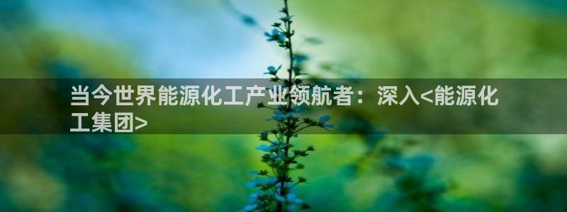 球盟会优惠码：当今世界能源化工产业领航者：深入<能源化
工集