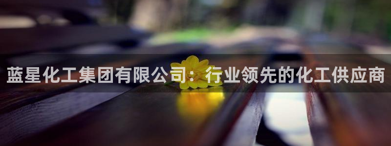 球盟会官网app下载：蓝星化工集团有限公司：行业领先的化工供
