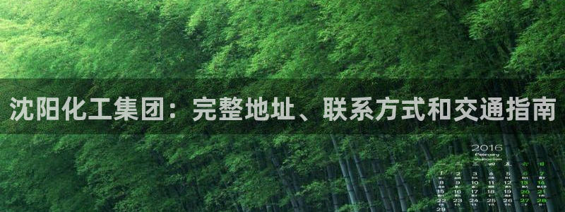 球盟会官方平台入口：沈阳化工集团：完整地址、联系方式和交通指