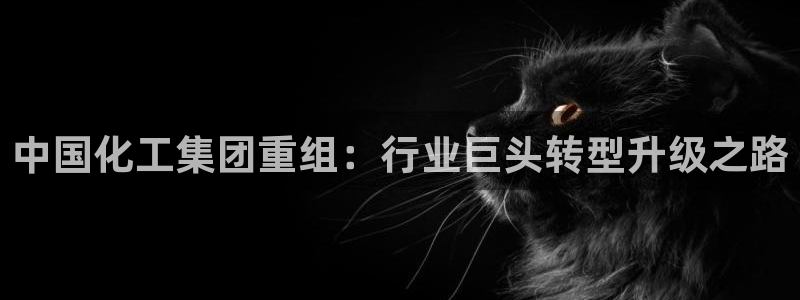 球盟会黑款吗知乎文章：中国化工集团重组：行业巨头转型升级之路