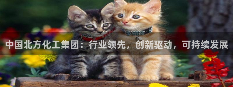球盟会qmh登录地址：中国北方化工集团：行业领先，创新驱动，