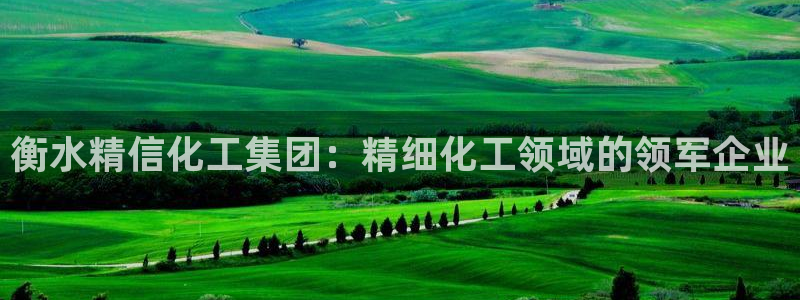 球盟会可以提现么是真的吗：衡水精信化工集团：精细化工领域的领