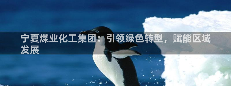球盟会qm：宁夏煤业化工集团：引领绿色转型，赋能区域
发展