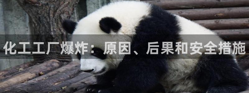 球盟会网址qm9 - 球盟会qmh网页版登录：化工工厂爆炸：