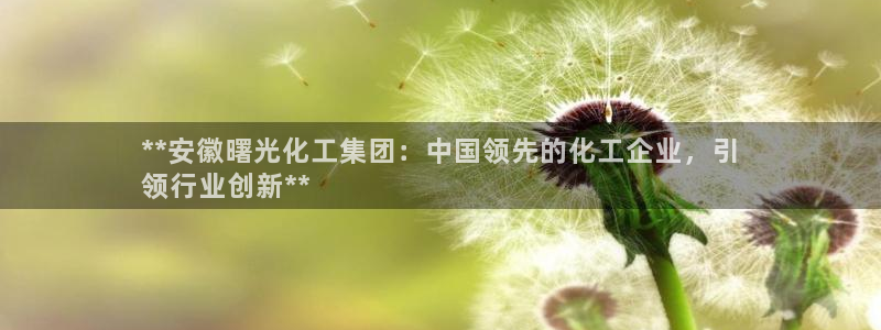 球盟会乐虎：**安徽曙光化工集团：中国领先的化工企业，引
领