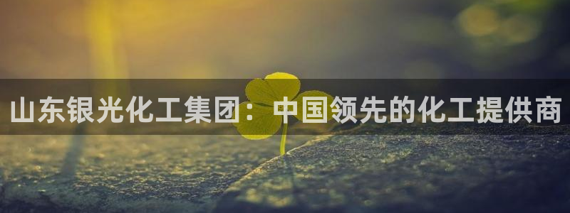 球盟会在线登入：山东银光化工集团：中国领先的化工提供商