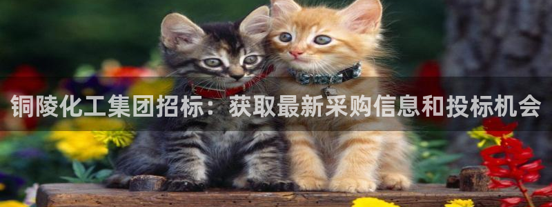 球盟会官方客服：铜陵化工集团招标：获取最新采购信息和投标机会