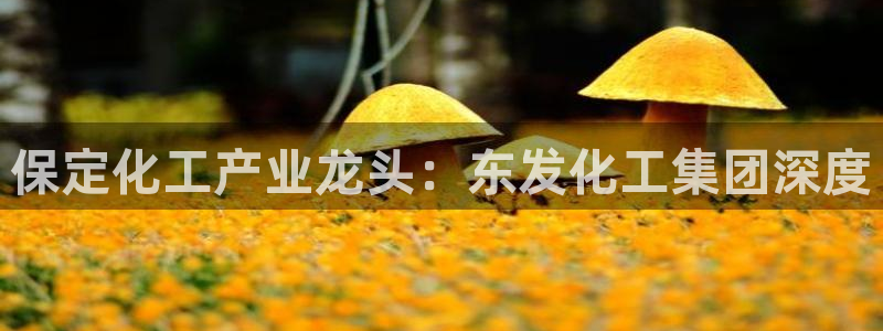 球盟会app手机登录：保定化工产业龙头：东发化工集团深度