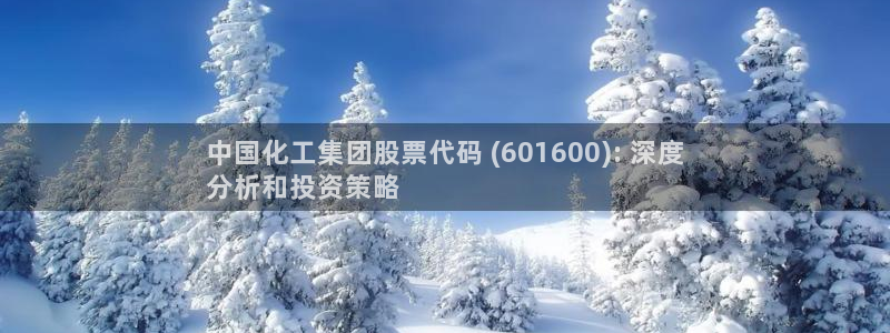 球盟会电子好黑：中国化工集团股票代码 (601600): 深