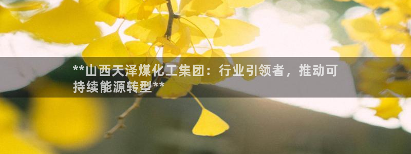 球盟会头号玩家是谁