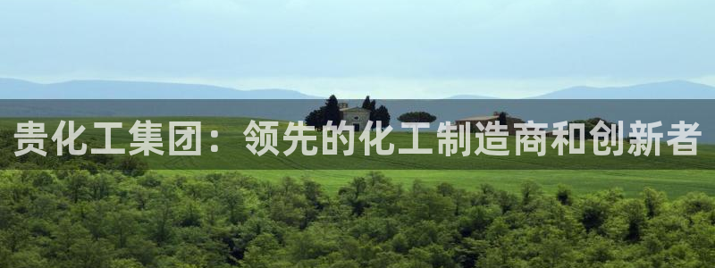 球盟会qm：贵化工集团：领先的化工制造商和创新者