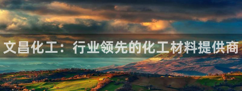 球盟会进不去：文昌化工：行业领先的化工材料提供商