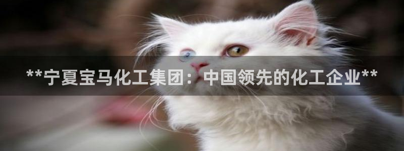球盟会官方网址入口：**宁夏宝马化工集团：中国领先的化工企业