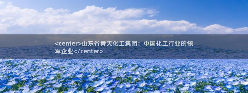 球盟会封禁：<center>山东省舜天化工集团：中国化工行业