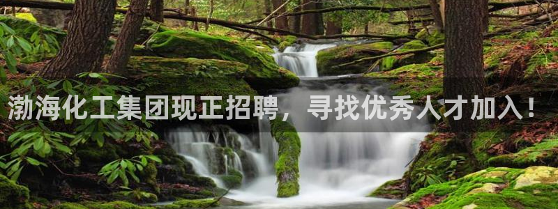 球盟会电子好下吗：渤海化工集团现正招聘，寻找优秀人才加入！