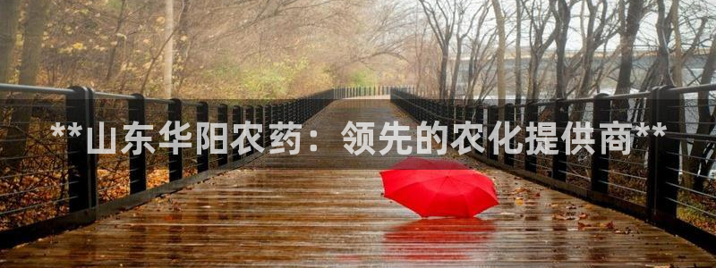 球盟会在线登入：**山东华阳农药：领先的农化提供商**