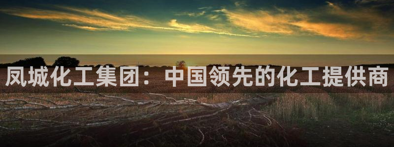 球盟会能退钱吗现在：凤城化工集团：中国领先的化工提供商