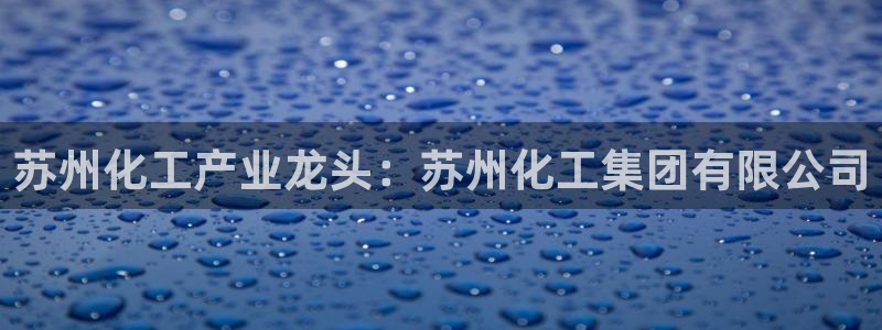 球盟会头号玩家：苏州化工产业龙头：苏州化工集团有限公司
