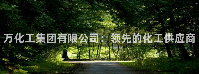 球盟会登录网址：万化工集团有限公司：领先的化工供应商