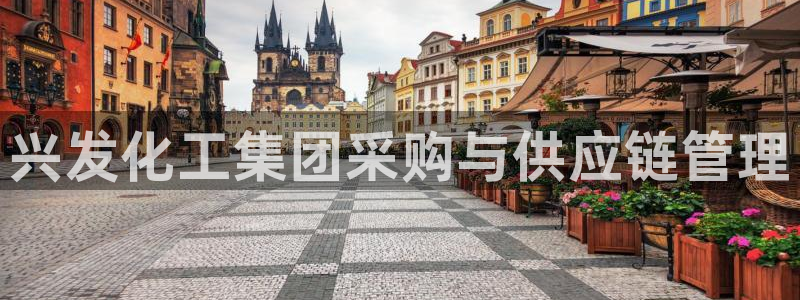 千亿球盟会乐玩：兴发化工集团采购与供应链管理