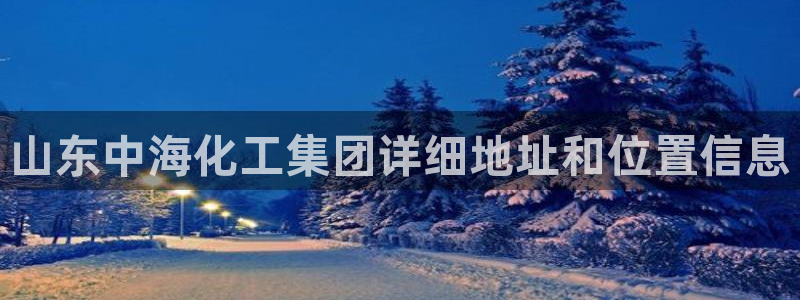 球盟会app安装：山东中海化工集团详细地址和位置信息