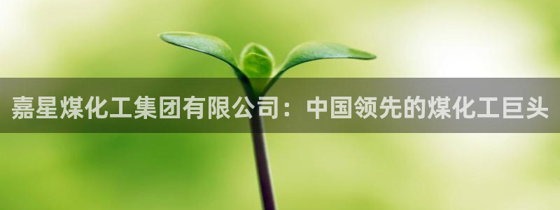 球盟会下款快吗：嘉星煤化工集团有限公司：中国领先的煤化工巨头