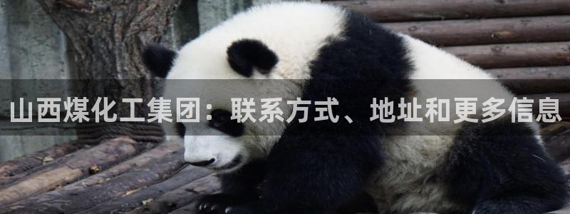 球盟会电子：山西煤化工集团：联系方式、地址和更多信息