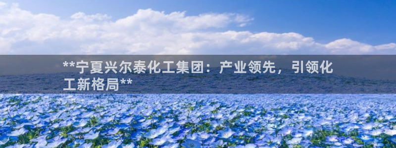 球盟会官方最新入口：**宁夏兴尔泰化工集团：产业领先，引领化