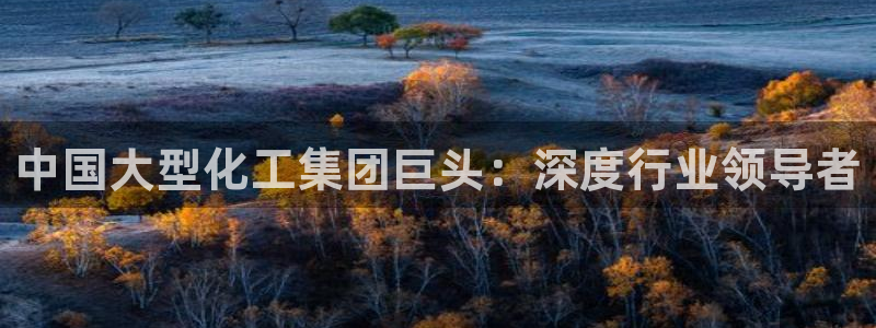 球盟会能退钱吗是真的吗：中国大型化工集团巨头：深度行业领导者