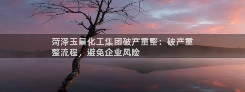 球盟会登陆：菏泽玉皇化工集团破产重整：破产重
整流程，避免企