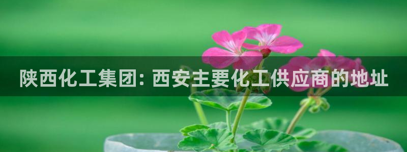球盟会黑平台：陕西化工集团: 西安主要化工供应商的地址