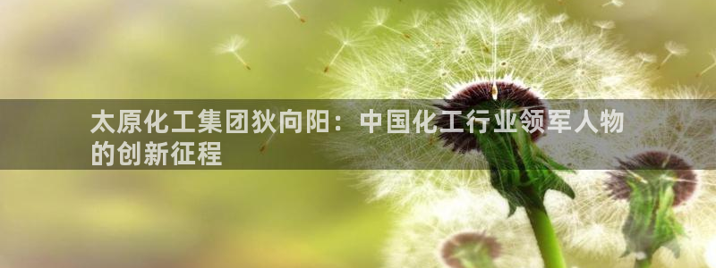 球盟会和中欧：太原化工集团狄向阳：中国化工行业领军人物
的创