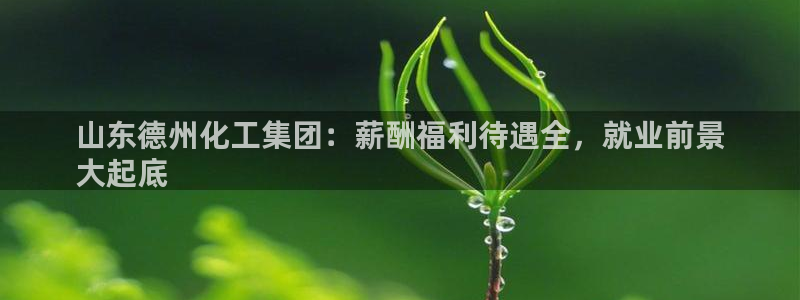 球盟会平台会黑单吗：山东德州化工集团：薪酬福利待遇全，就业前