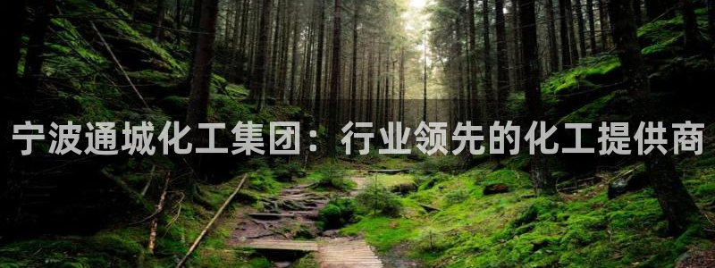 球盟会进不去：宁波通城化工集团：行业领先的化工提供商