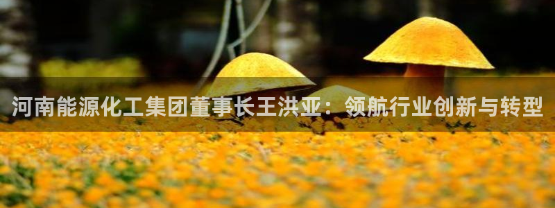球盟会类似的网站：河南能源化工集团董事长王洪亚：领航行业创新