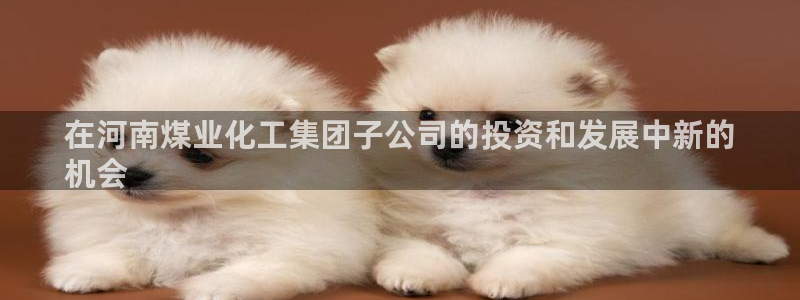 球盟会邮箱：在河南煤业化工集团子公司的投资和发展中新的
机会