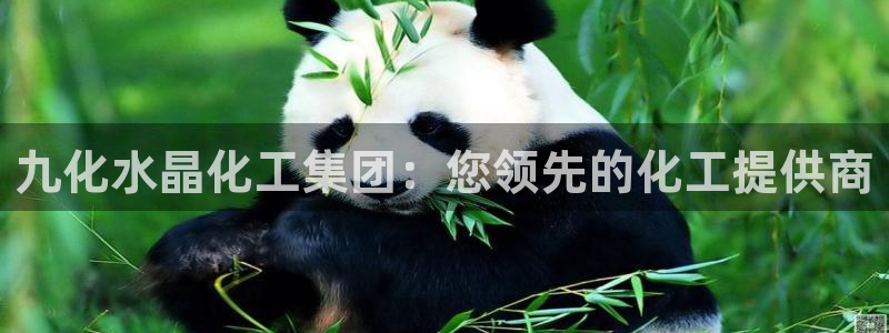 球盟会封禁：九化水晶化工集团：您领先的化工提供商