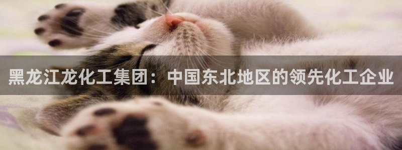 球盟会可靠不：黑龙江龙化工集团：中国东北地区的领先化工企业