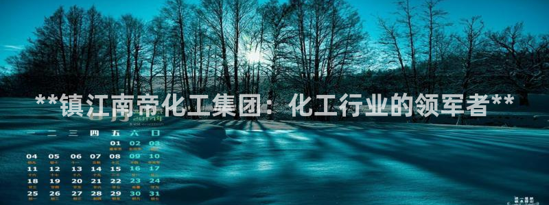 球盟会乐虎：**镇江南帝化工集团：化工行业的领军者**