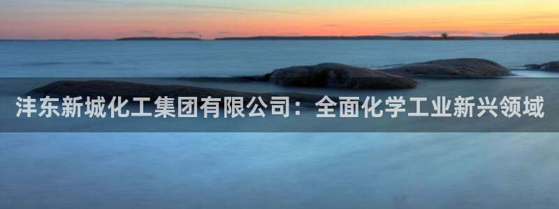 球盟会国际官网：沣东新城化工集团有限公司：全面化学工业新兴领