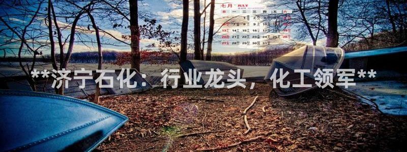 球盟会最新网：**济宁石化：行业龙头，化工领军**