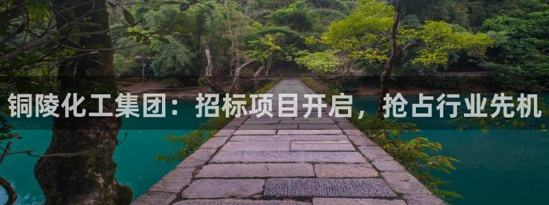球盟会APP最新地址：铜陵化工集团：招标项目开启，抢占行业先