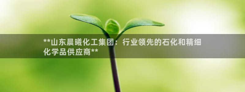 球盟会有没有黑单的人：**山东晨曦化工集团：行业领先的石化和
