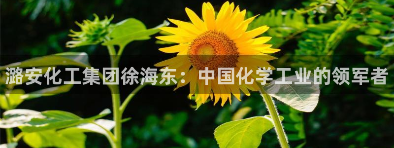 球盟会黑款吗知乎：潞安化工集团徐海东：中国化学工业的领军者