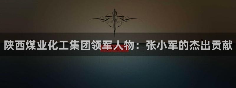球盟会官网登录入口：陕西煤业化工集团领军人物：张小军的杰出贡