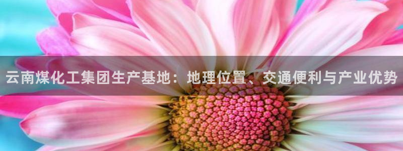 球盟会综合app下载：云南煤化工集团生产基地：地理位置、交通